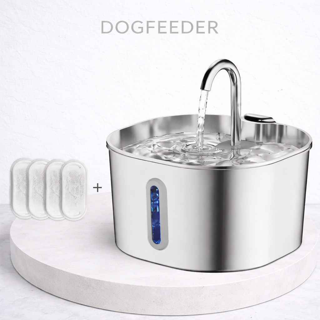 Fontaine à Eau Automatique