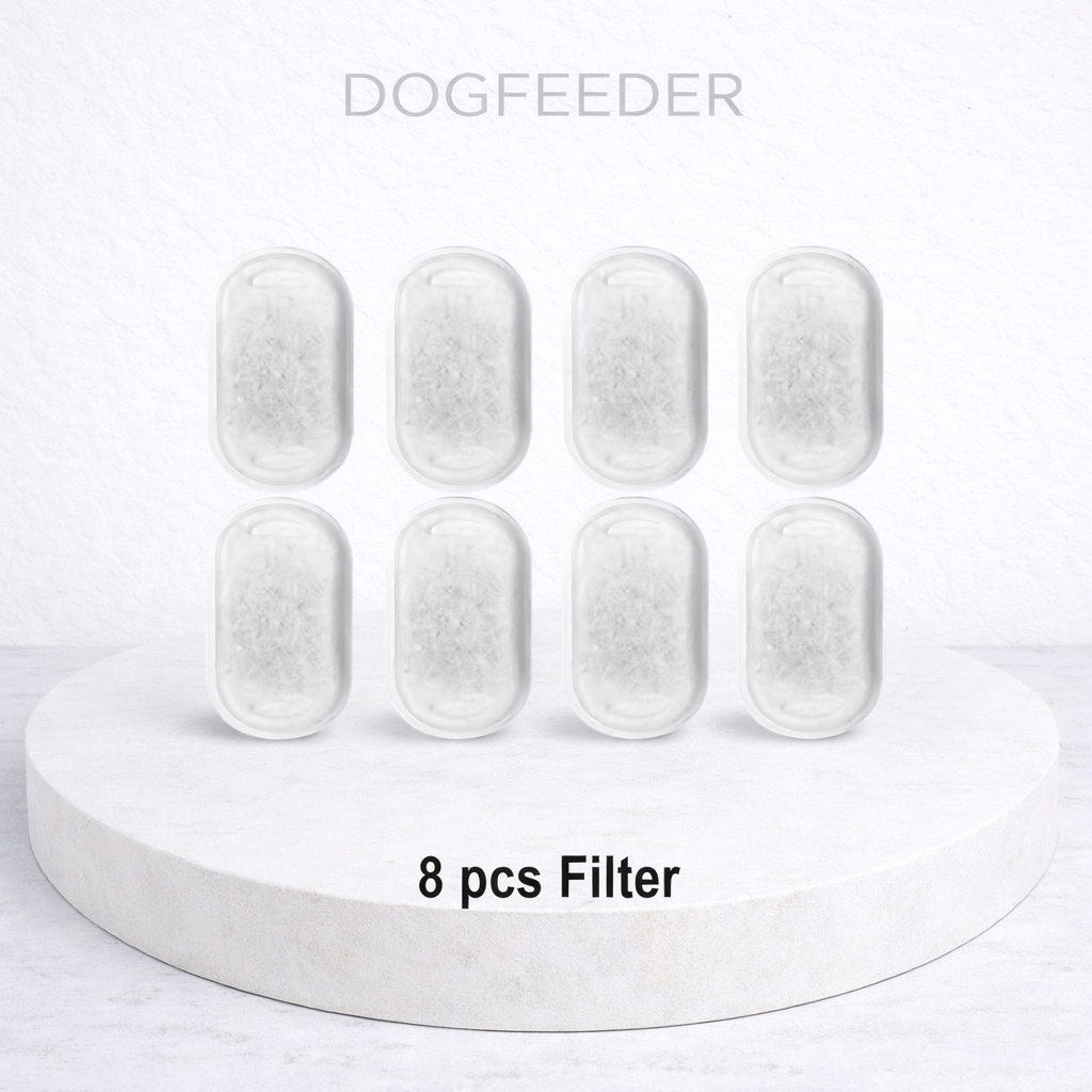 Fontaine à Eau Automatique